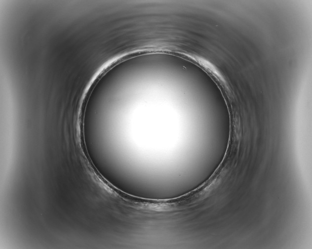 X0000086961288200704301230