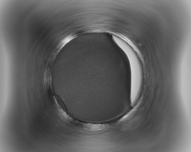 X0000086961289200704301230