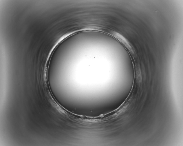 X0000086961292200704301230