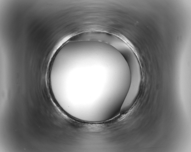 X0000086961293200704301230