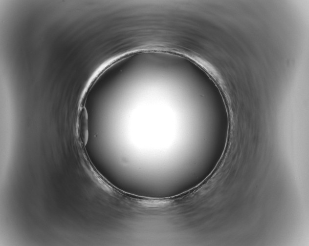 X0000086961296200704301230