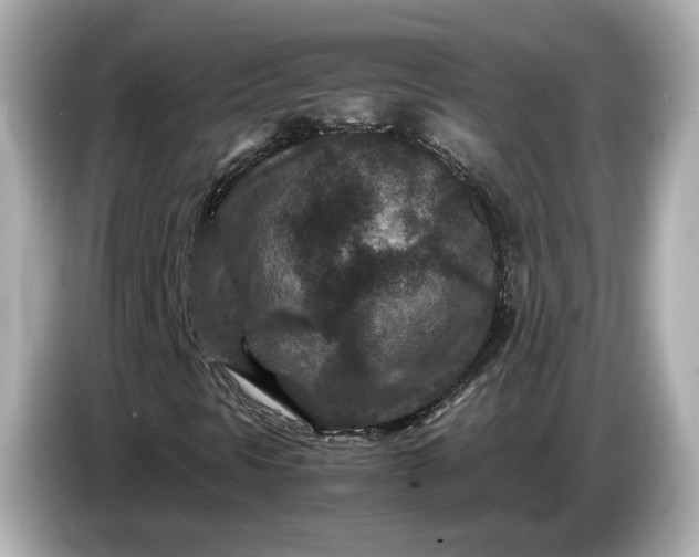 X0000086961297200704301229