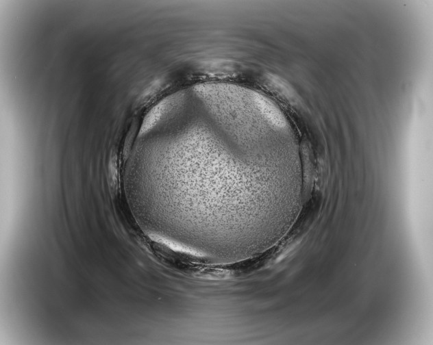 X0000086961298200704301229