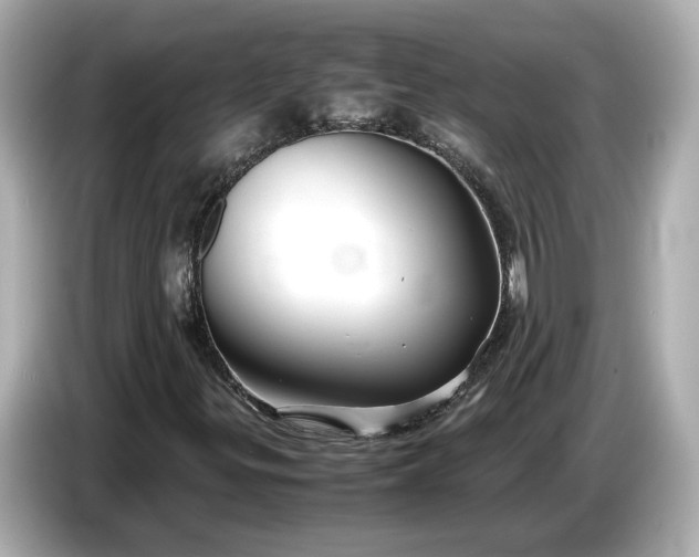 X0000086961299200704301229