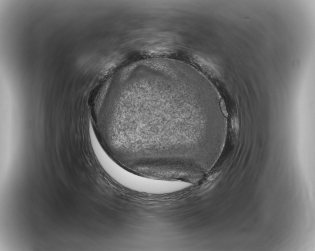 X0000086961300200704301229
