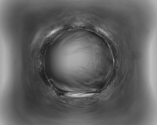 X0000086961303200704301229