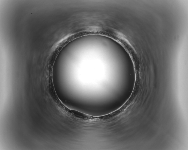 X0000086961304200704301229