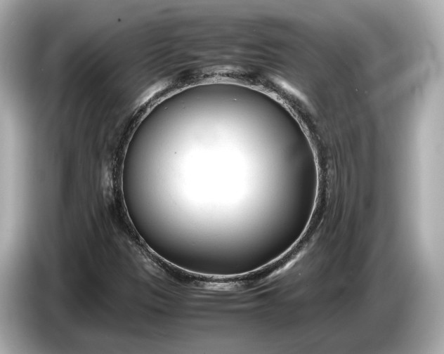 X0000086961305200704301229