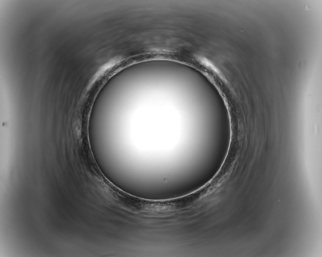 X0000086961307200704301229