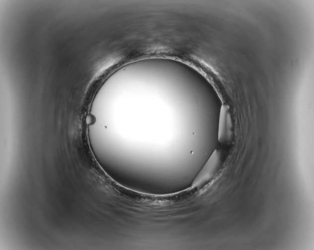 X0000086961309200704301229