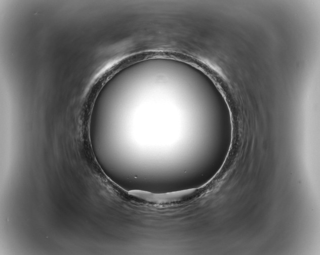 X0000086961311200704301229