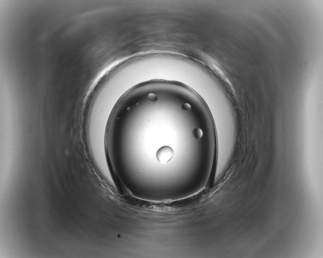 X0000086961312200704301230