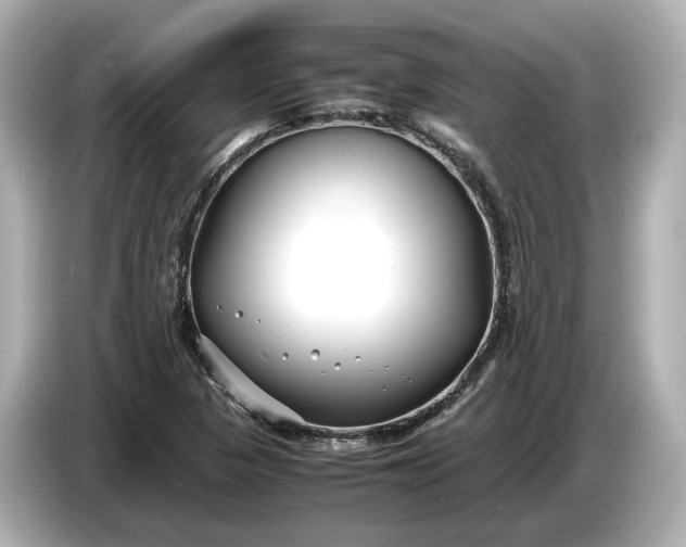 X0000086961313200704301230