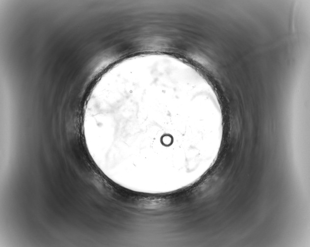 X0000086961314200704301230