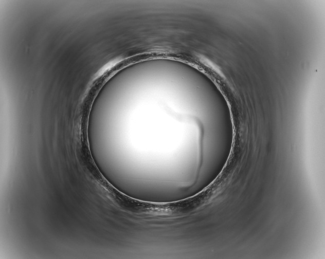 X0000086961315200704301230
