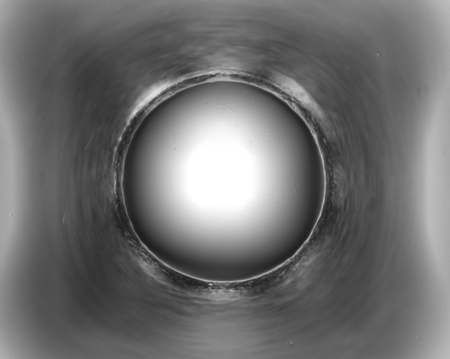 X0000086961316200704301230