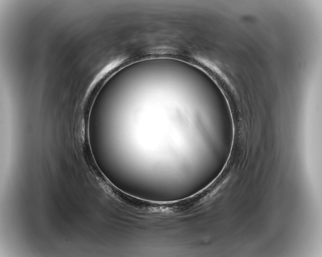 X0000086961317200704301230