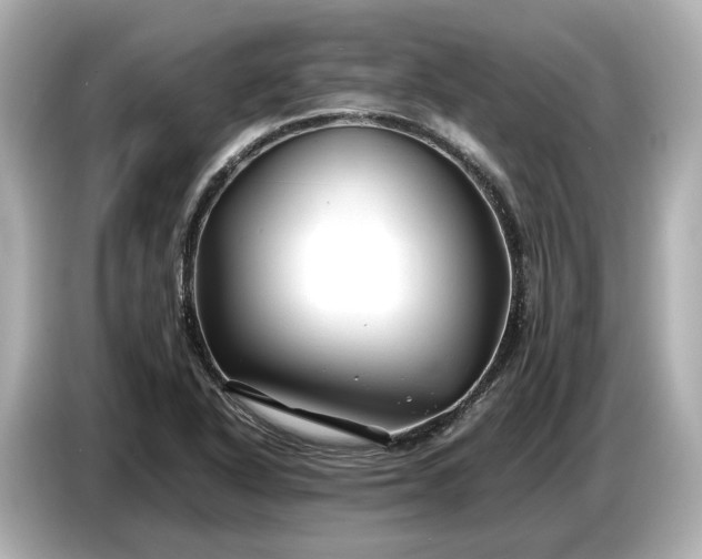 X0000086961318200704301230