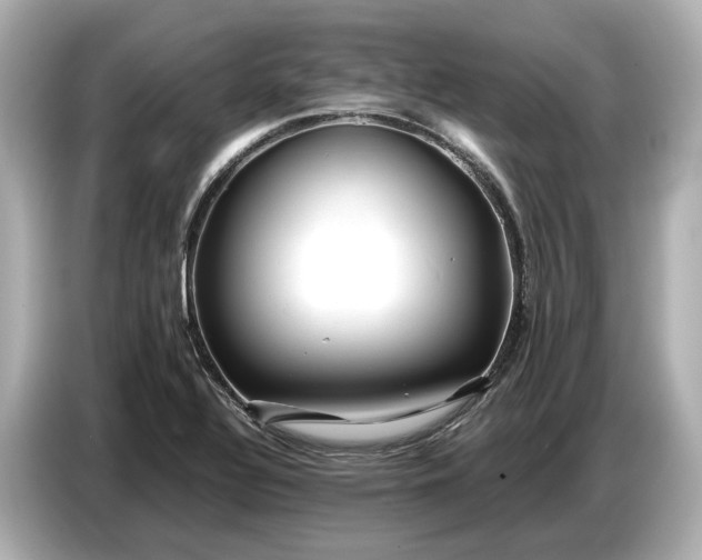 X0000086961320200704301230