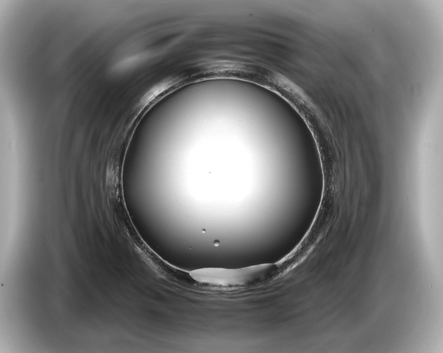 X0000086961321200704301230