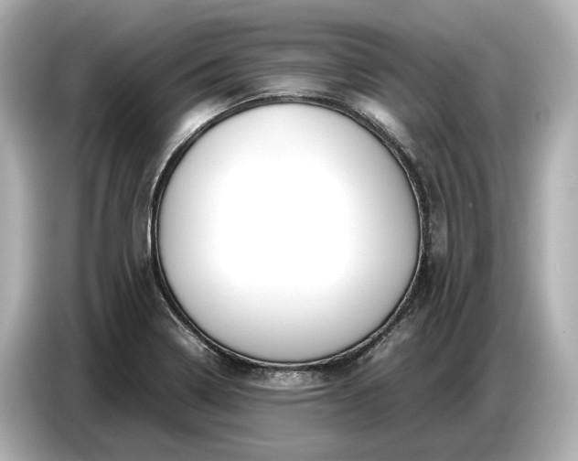 X0000086961322200704301230