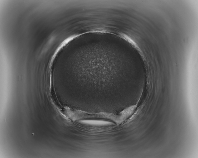 X0000086961323200704301230
