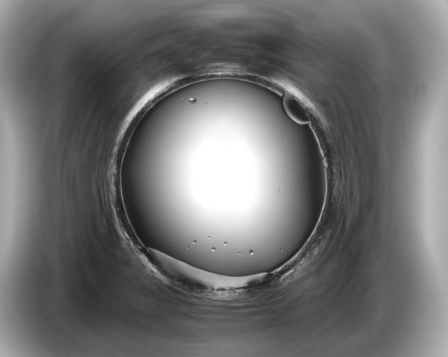 X0000086961325200704301230