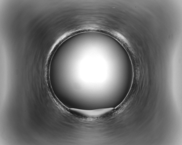 X0000086961326200704301230