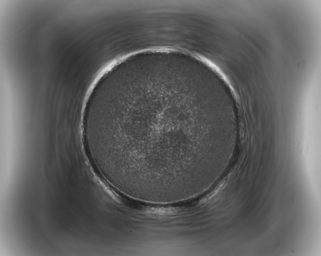 X0000086961327200704301230
