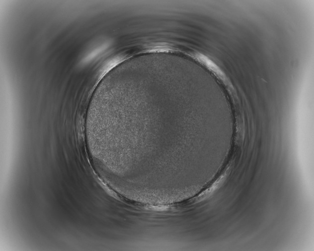 X0000086961329200704301230