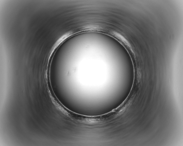 X0000086961330200704301230