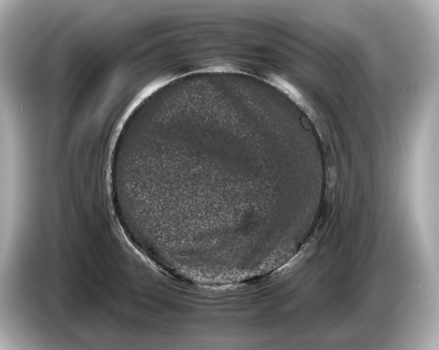 X0000086961331200704301230