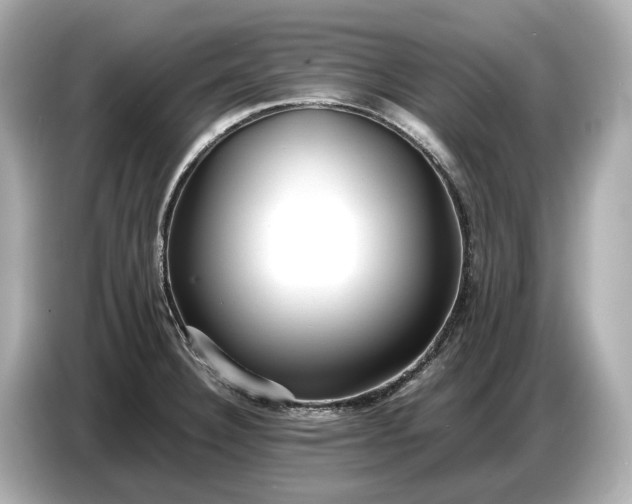 X0000086961332200704301230