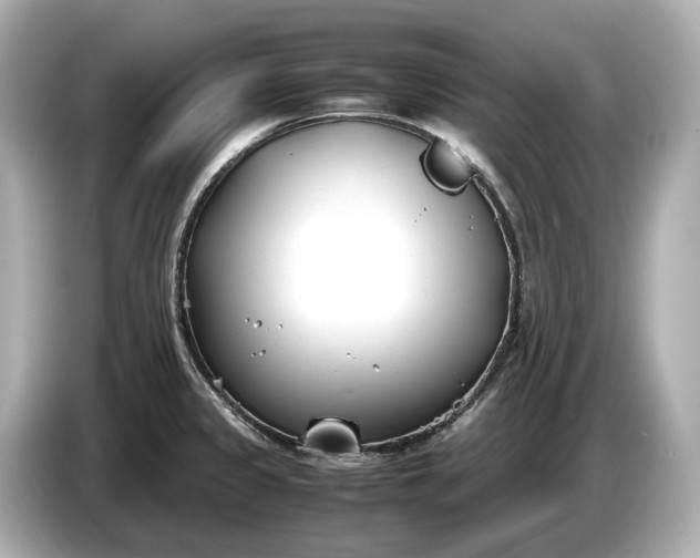 X0000086961333200704301230