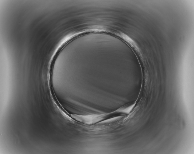 X0000086961334200704301230