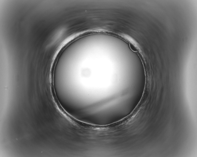 X0000086961335200704301230