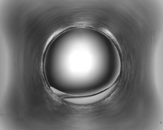 X0000086961336200704301230