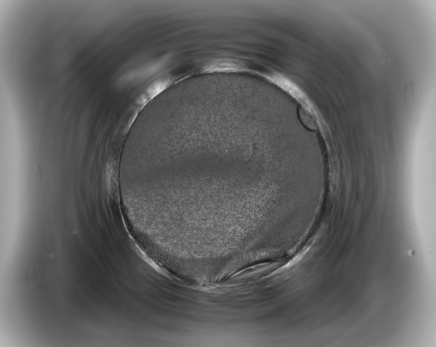 X0000086961337200704301230
