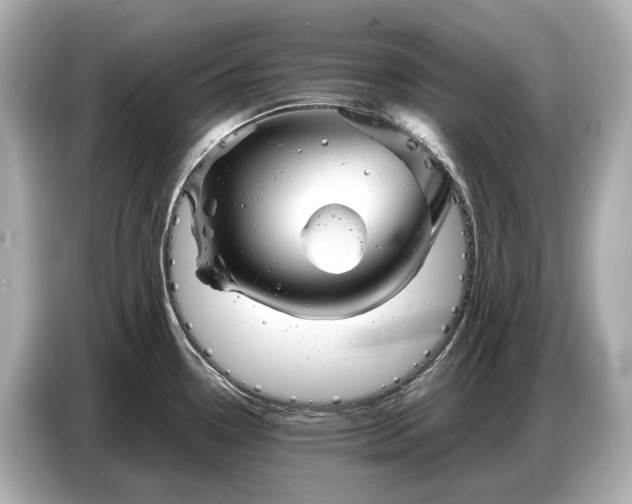 X0000086961338200704301230
