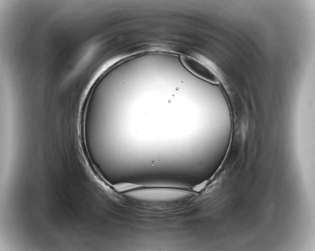 X0000086961339200704301230