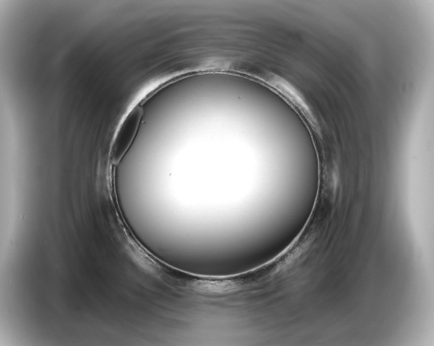 X0000086961340200704301230