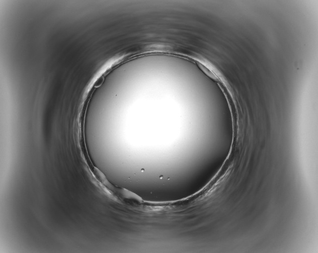 X0000086961341200704301230