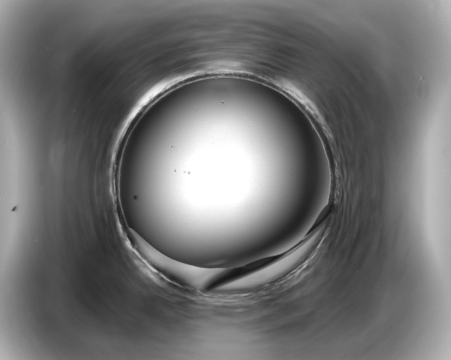 X0000086961342200704301230