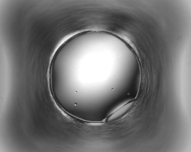 X0000086961343200704301230