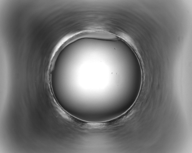 X0000086961344200704301230