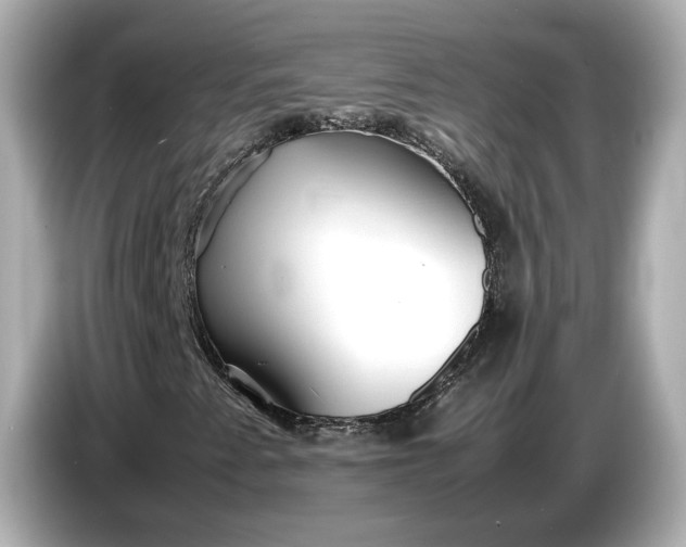 X0000086961345200704301229