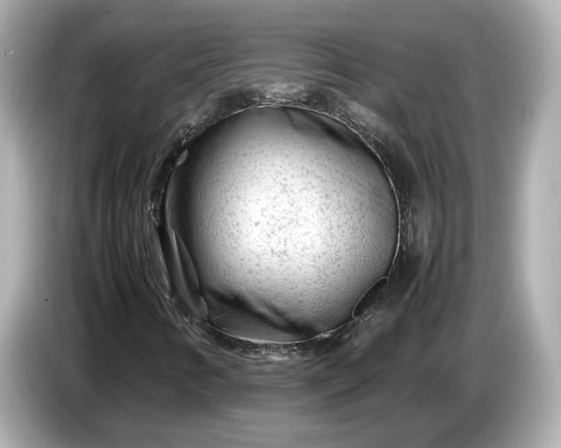 X0000086961346200704301229
