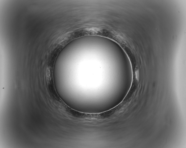 X0000086961347200704301229