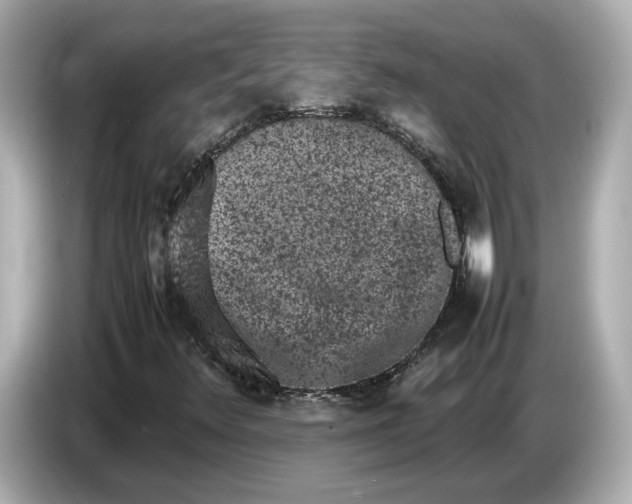 X0000086961348200704301229