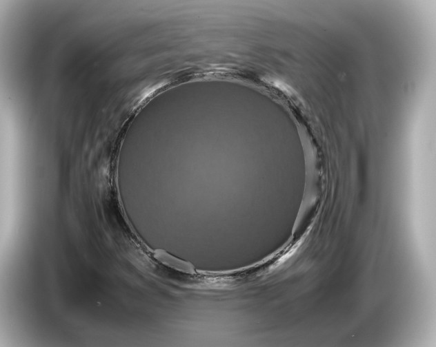 X0000086961353200704301229